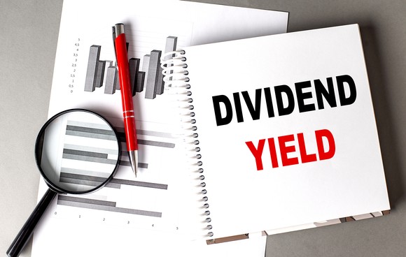Dividend yield analysis in a notebook