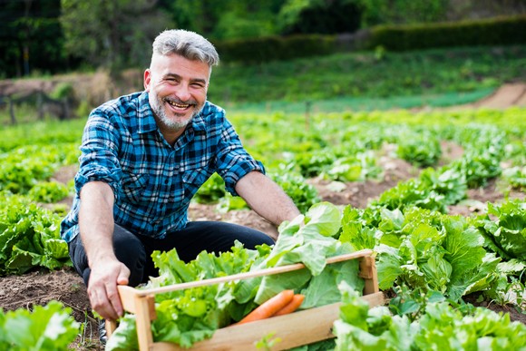 Someone is smiling and crouching in a garden.