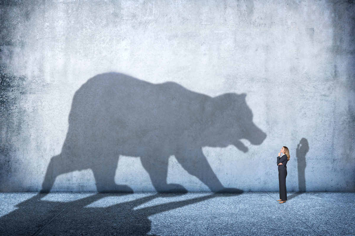 The shadow of a bear looking at a person.
