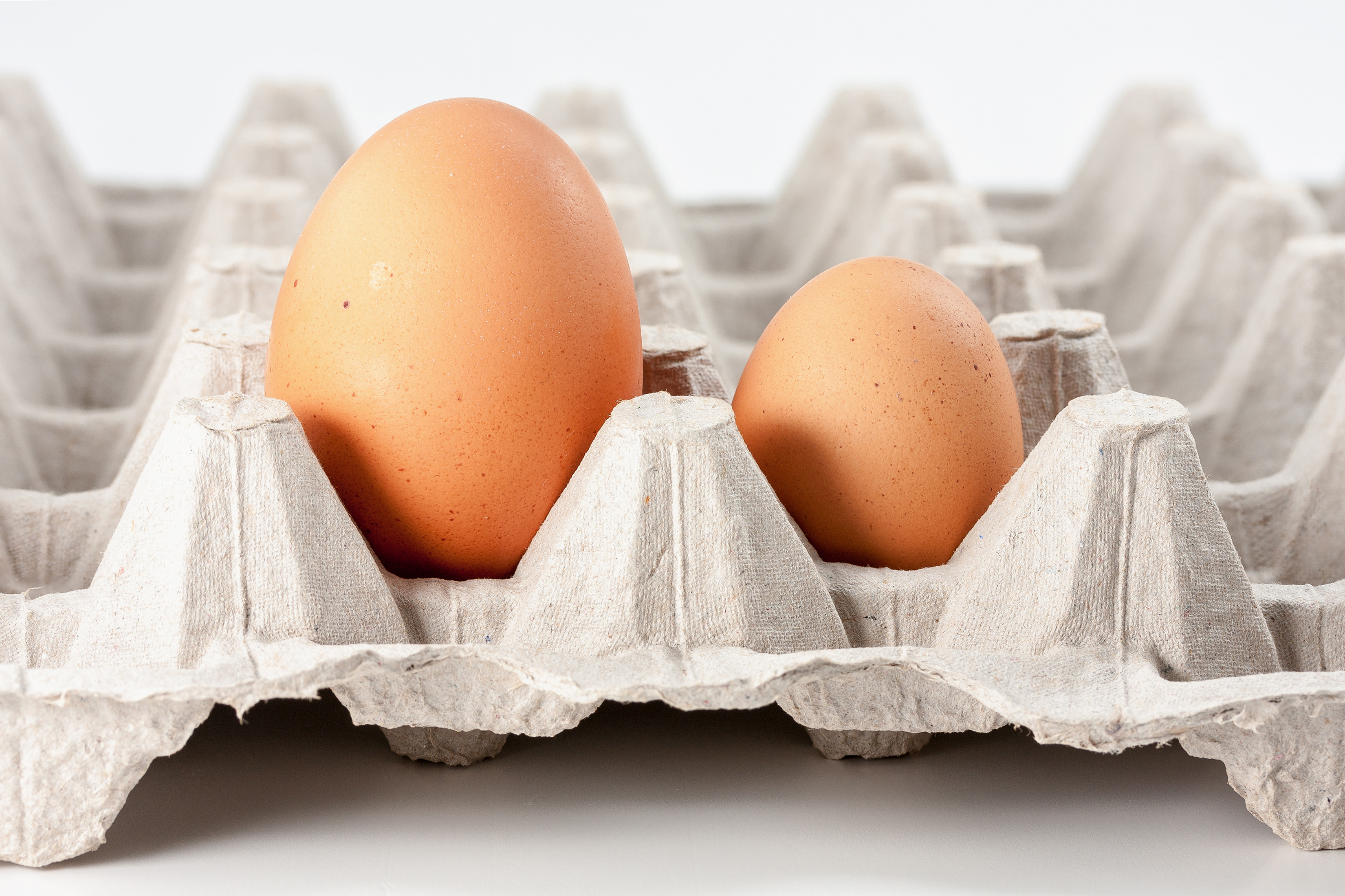 Two eggs, one large and one small.
