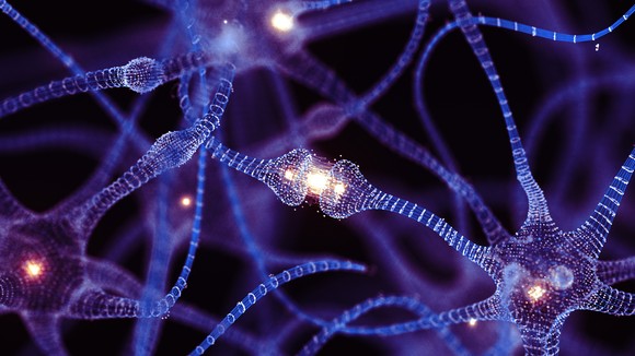 The synapses of a brain.