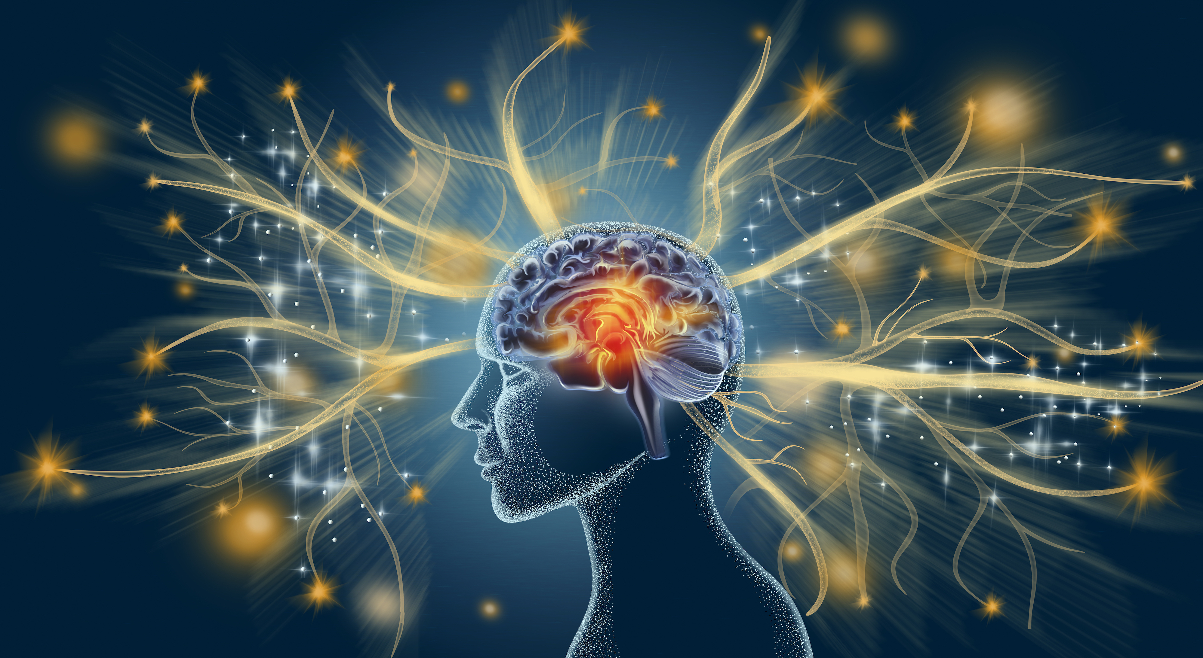 Image of human brain with light and sparkles extending from it depicting artificial intelligence. 