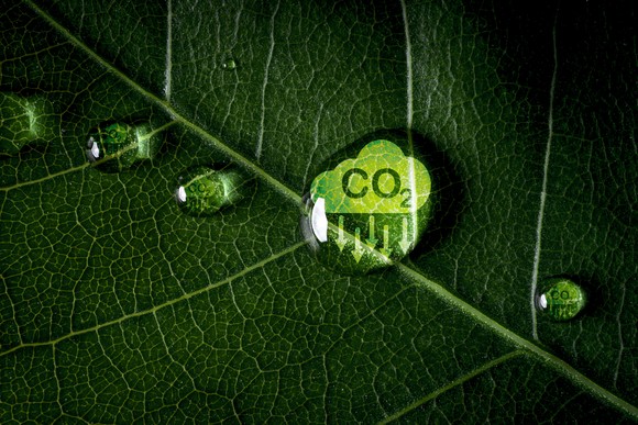 A closeup of a green leaf with water droplets on it. One of the droplets has CO2 written in it, with green arrows pointing down.