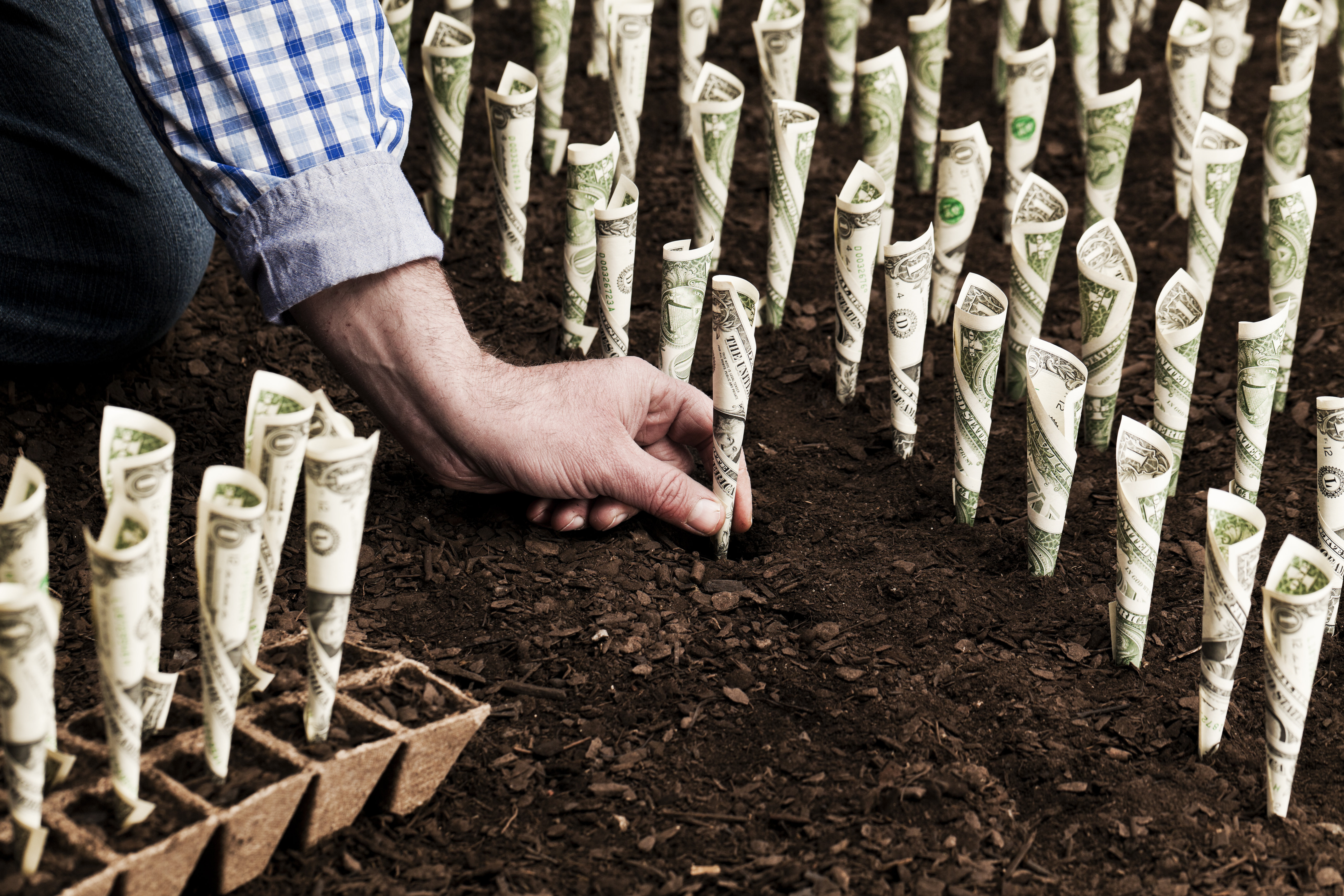 A hand planting money in the ground.