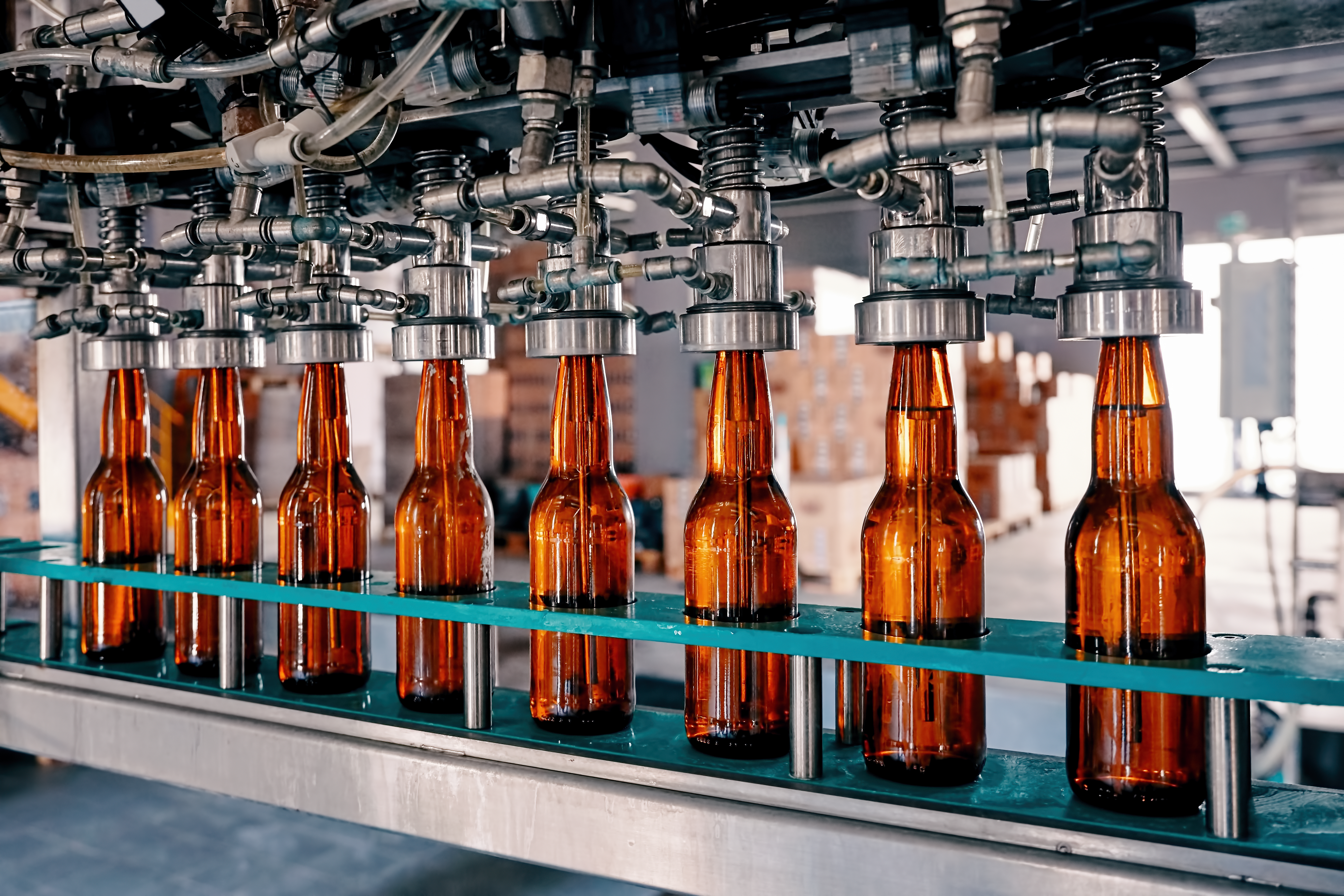 Where Will Constellation Brands Stock Be in 1 Year?