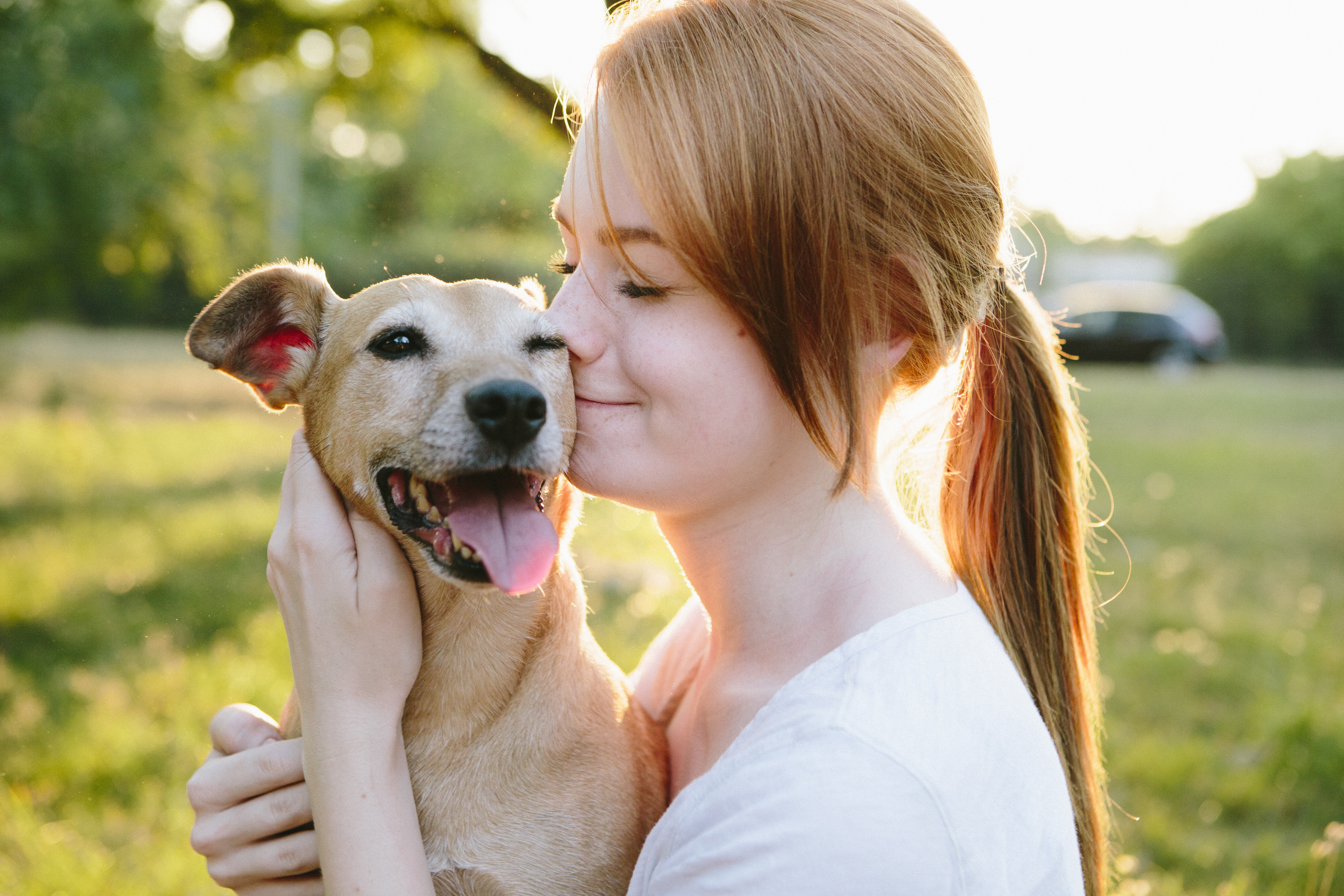 Hugging pet dog