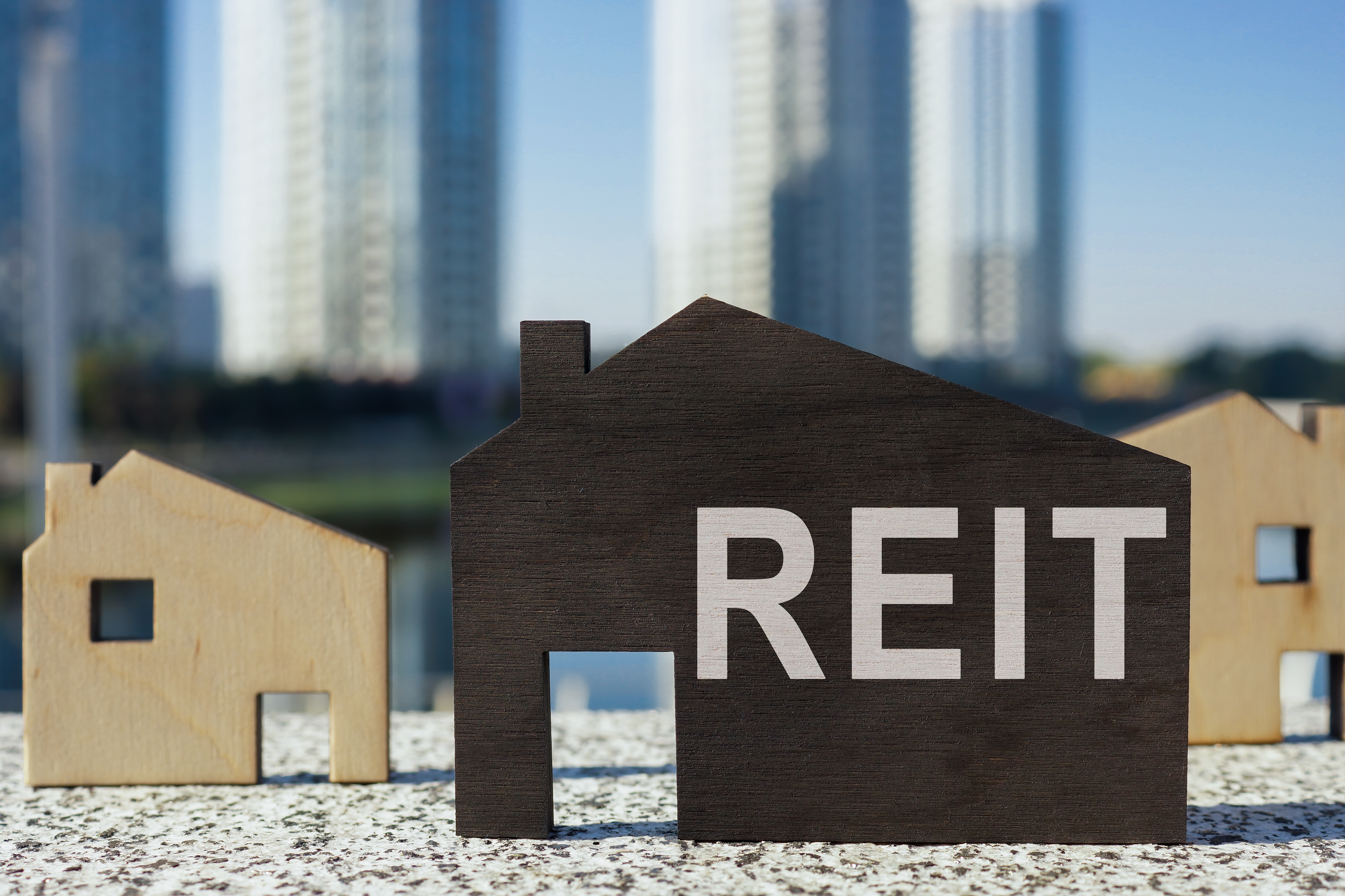 The letters REIT on a wood cutout shaped like a house.