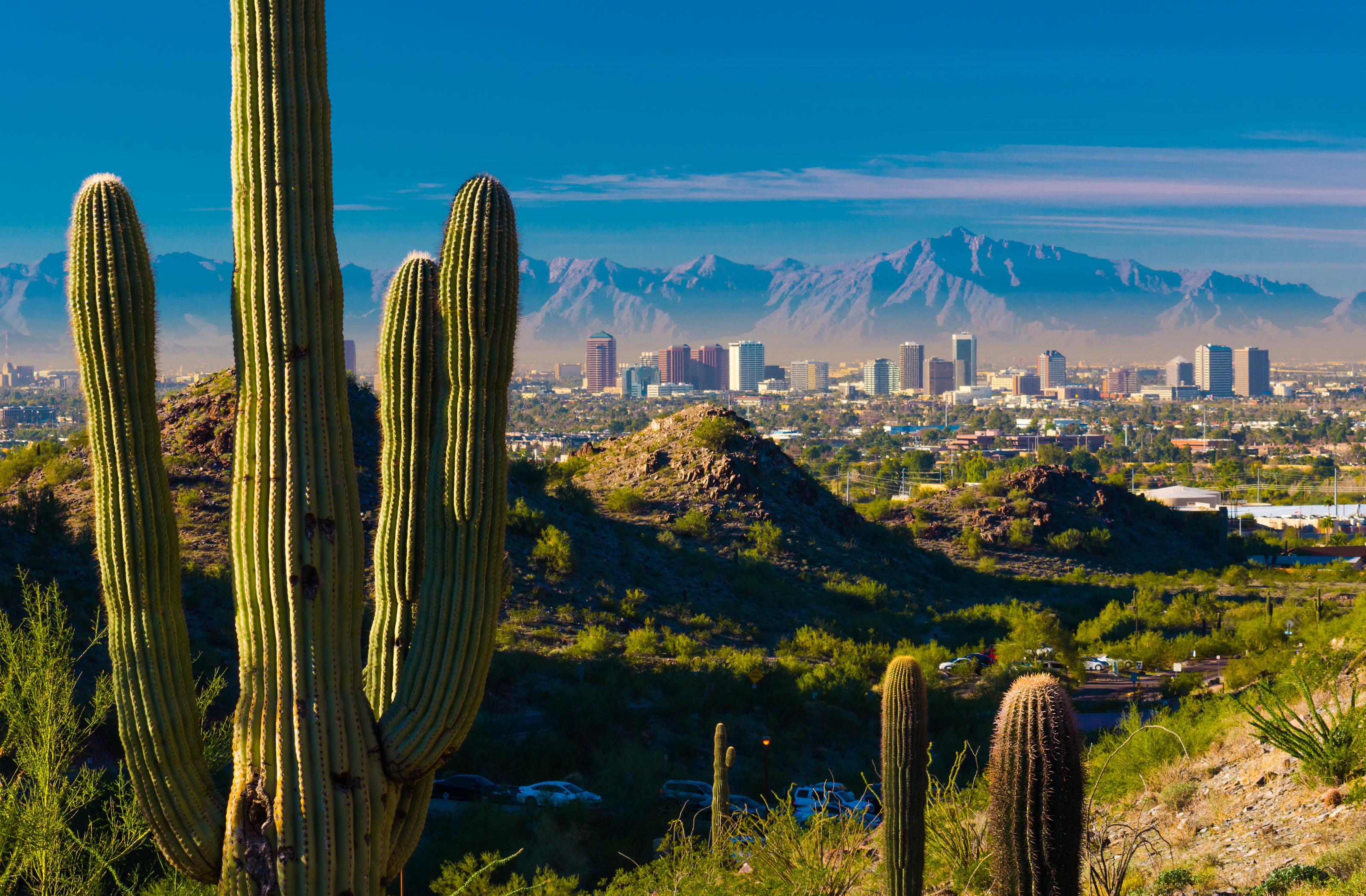 Arizona cacti are shown, with a city in the background.