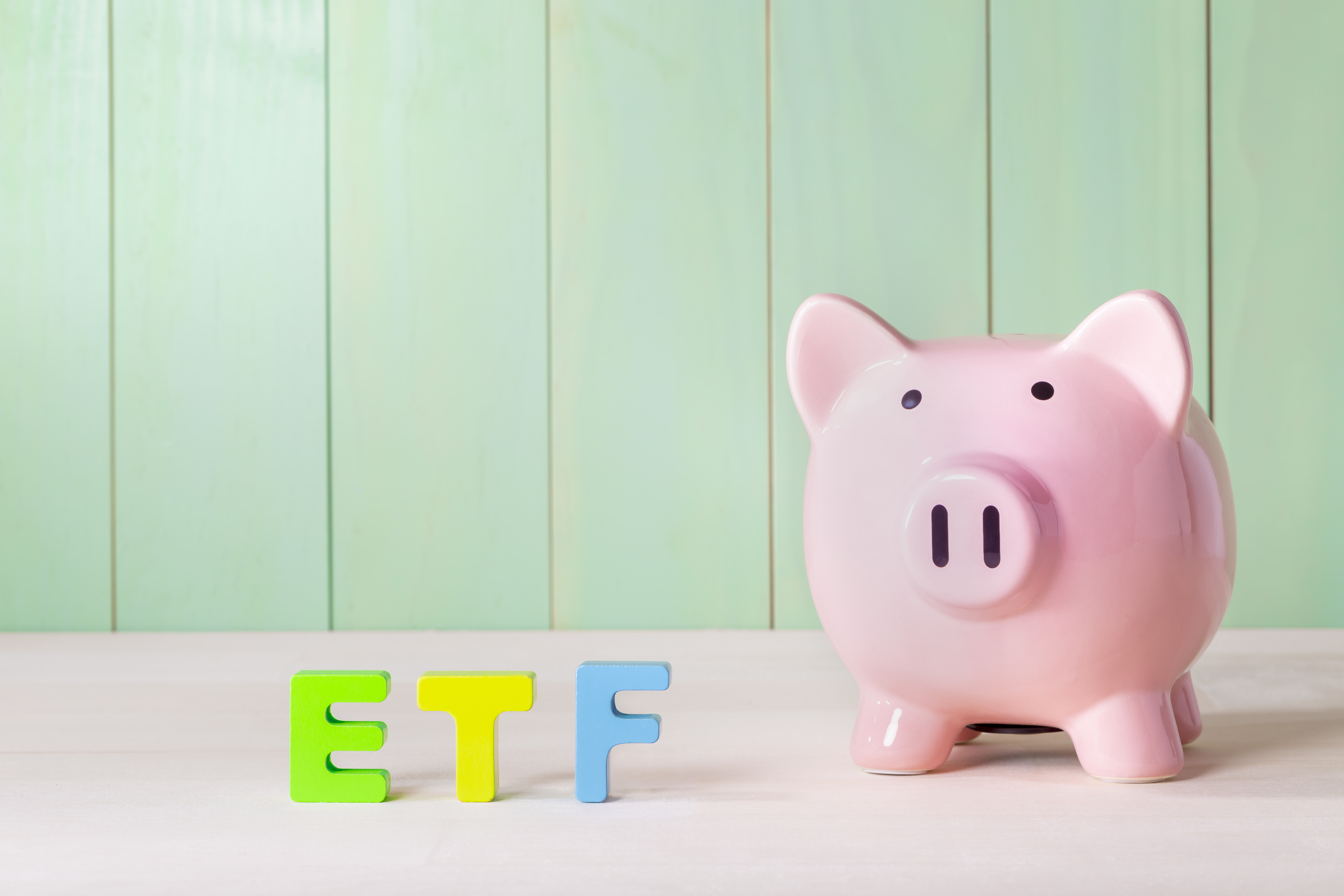 Is The Vanguard Total Stock Market Index Fund a Buy?