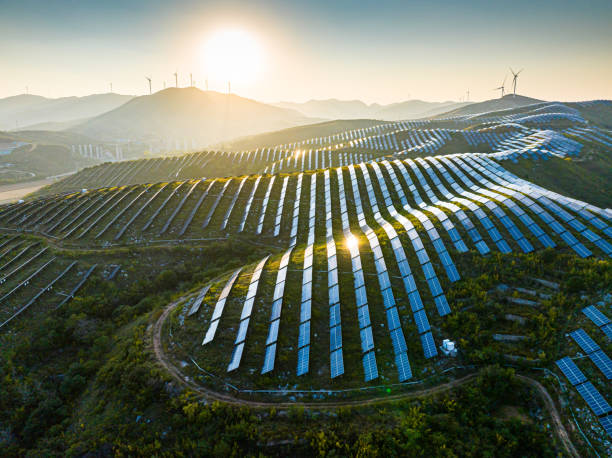 NextEra Energy Falls After Reporting Q3 Earnings: What Investors Need to Know