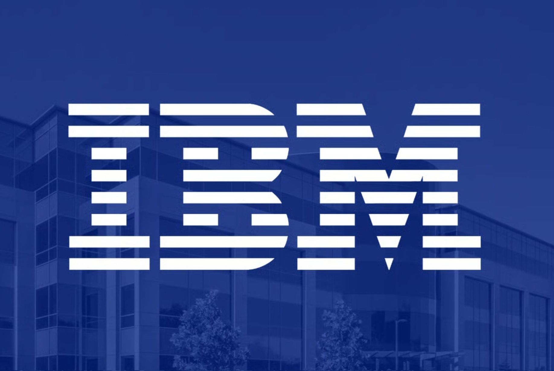 Why Did IBM Stock Plunge 25 % in One Day ? Preliminary Q2 Results Were Weak , But Not Terrible