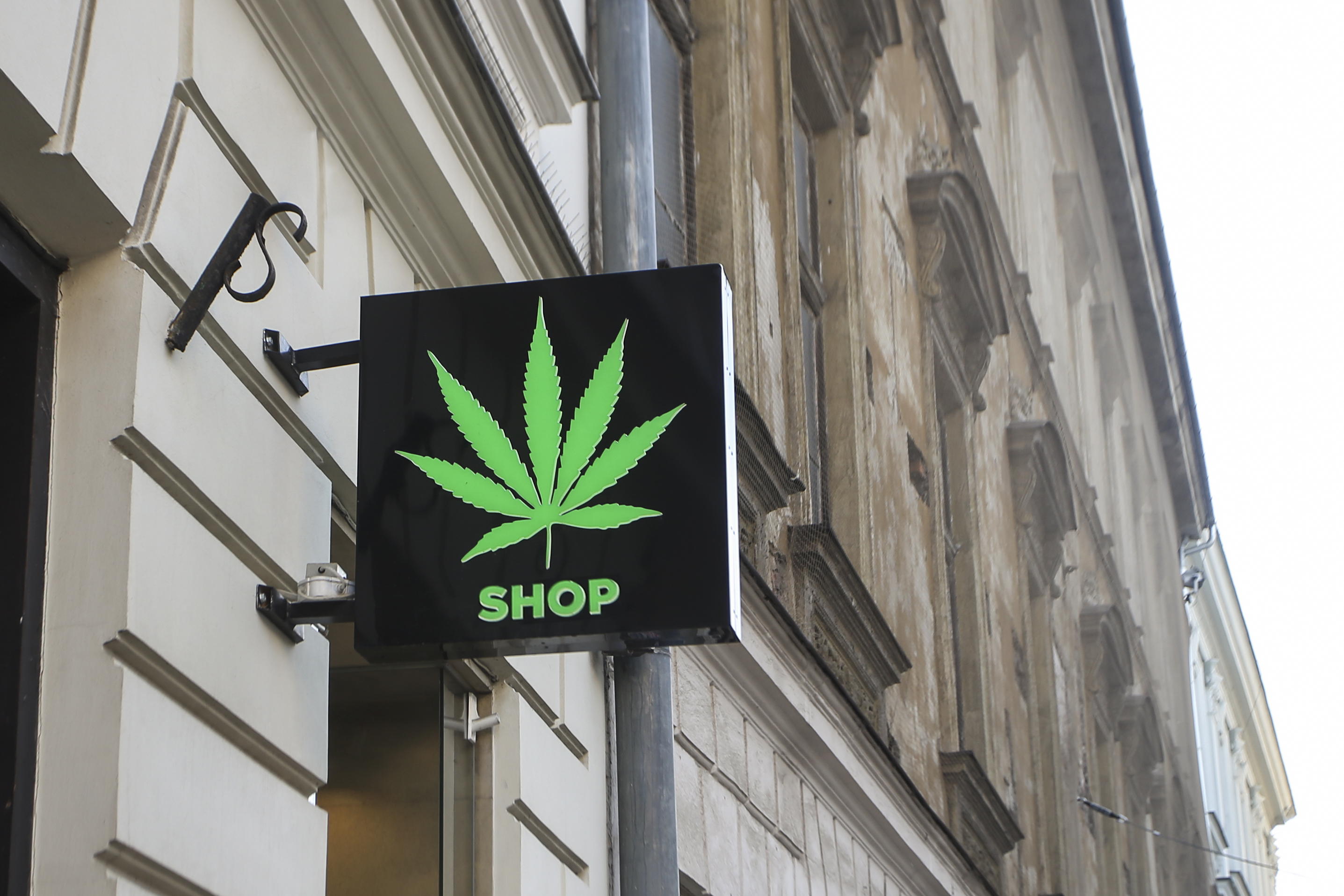 fool.com - Jeff Siegel - Is Green Thumb the Safest Cannabis Stock to Own Right Now?