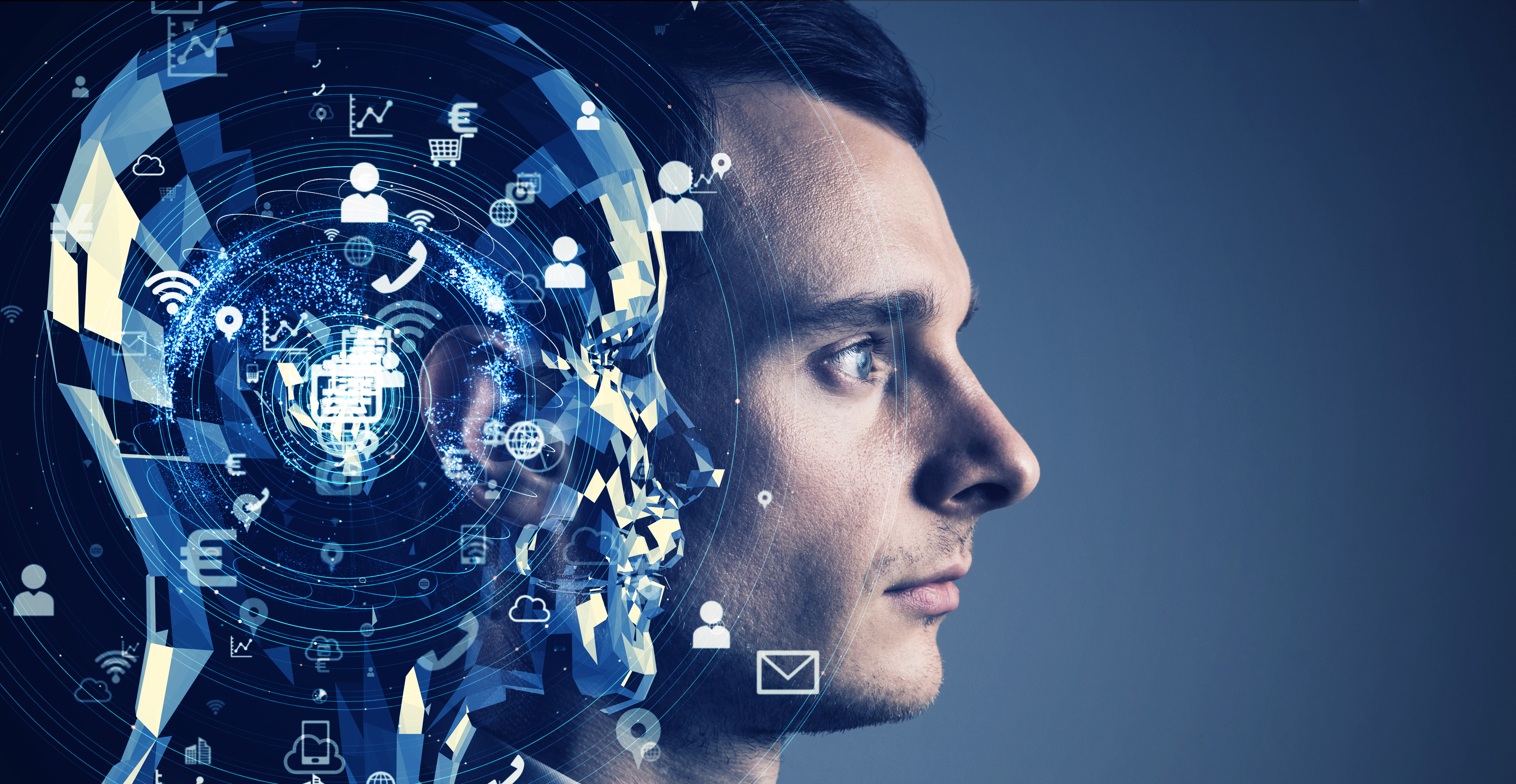 Palantir vs . Tesla : Which AI Stock Should You Buy ?