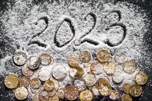 2023 snow coins