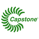 Capstone Green Energy Stock Quote