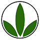 Herbalife Stock Quote