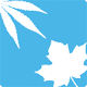 Organigram Global Stock Quote