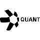 Quant Stock Quote