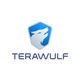 TeraWulf Stock Quote