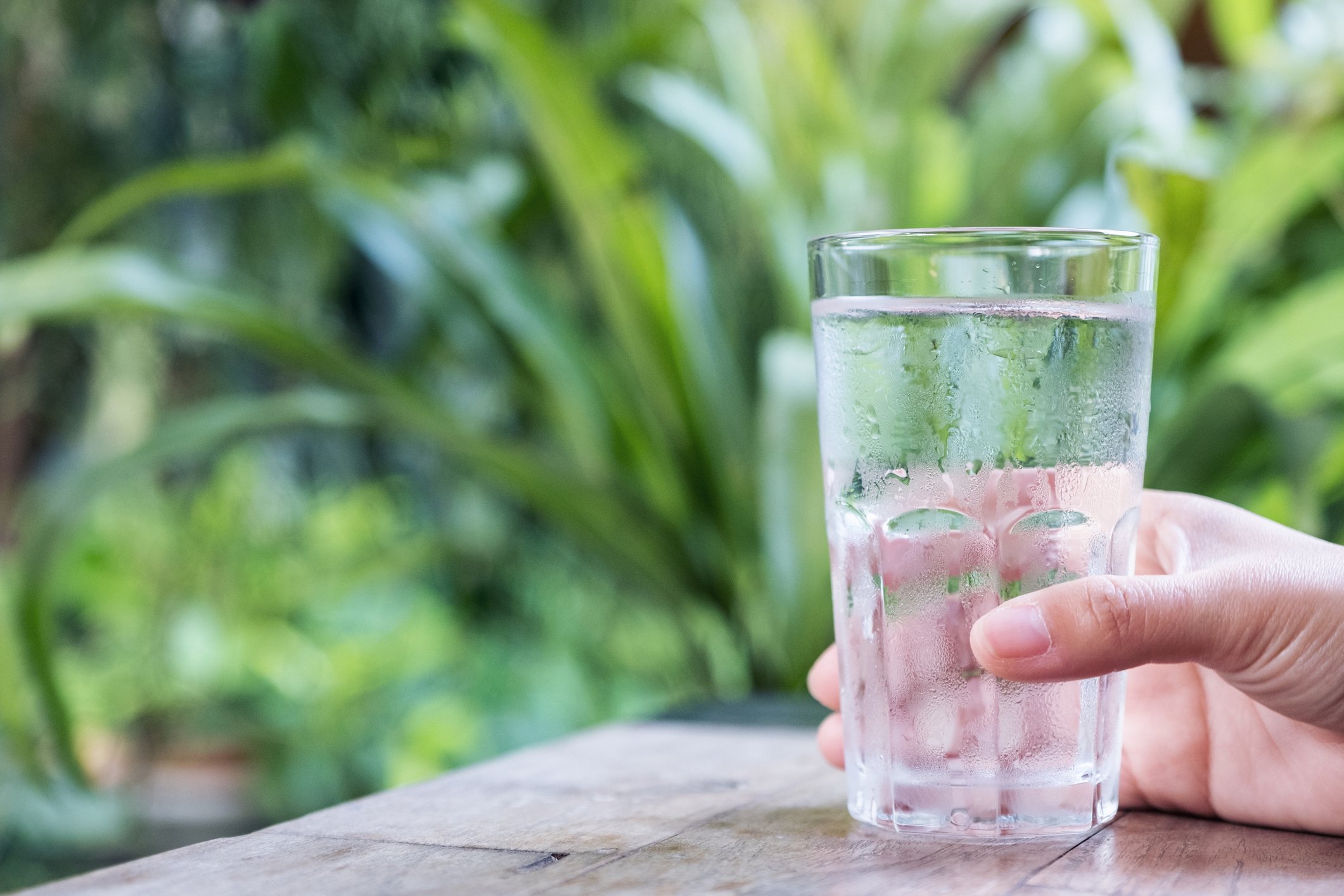 Hand holding a glass of water with plants in the background