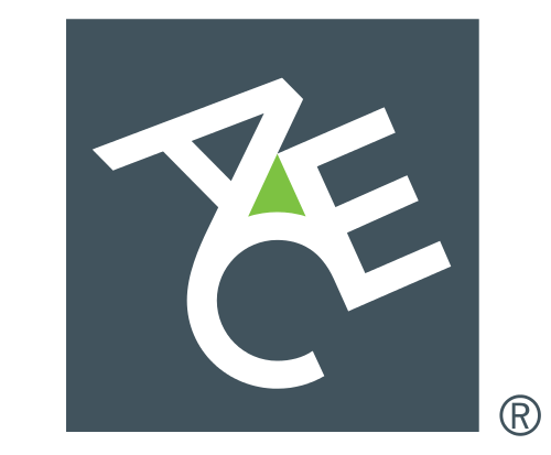 500px-ACE_Limited_Logo.svg[1]
