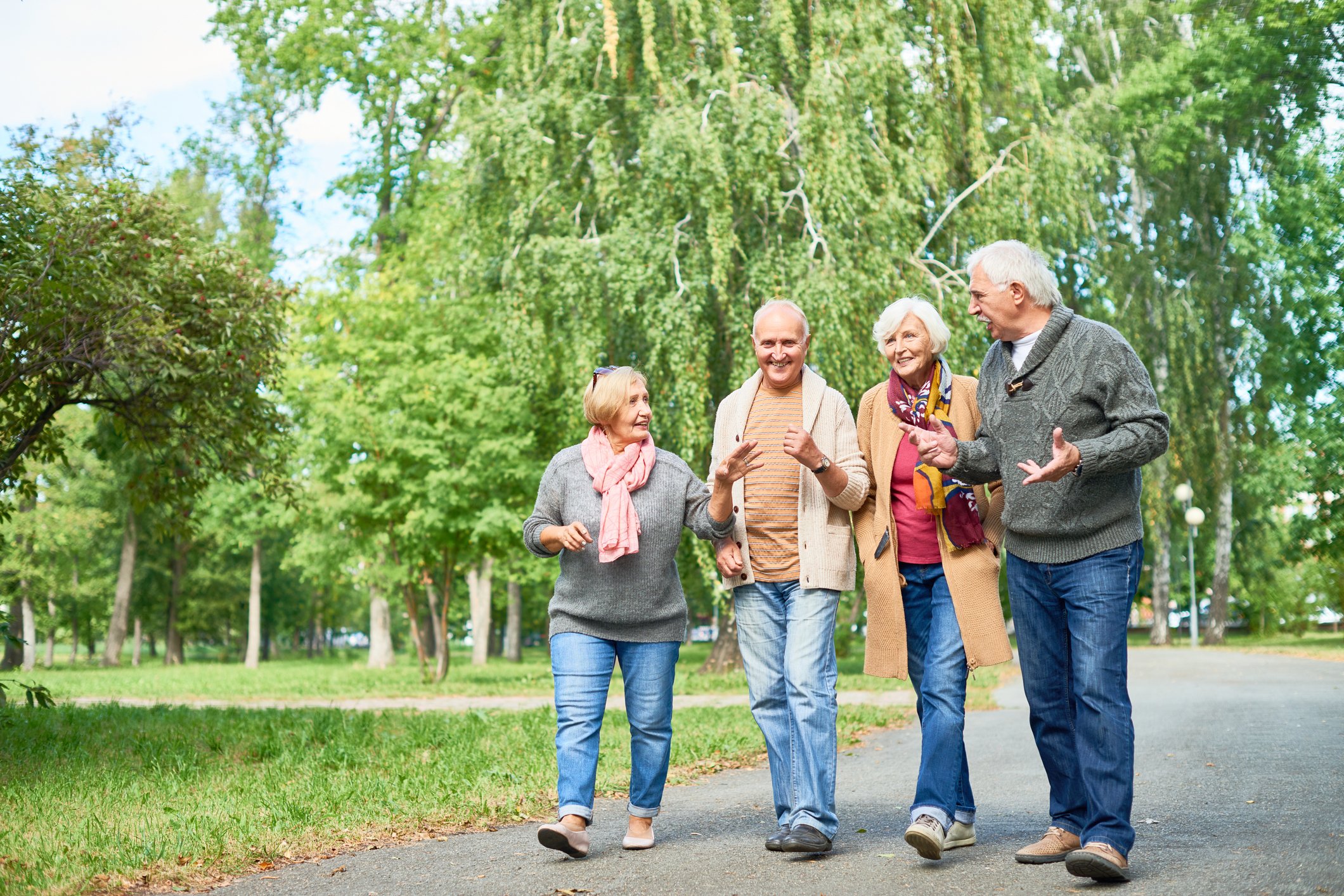 Two senior men and two senior women walking and talking in a park