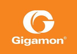GIMO logo
