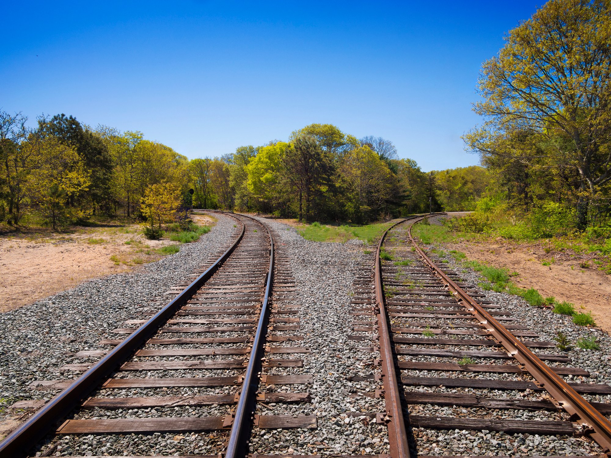 Two sets of side-by-side railroad tracks go separate ways.