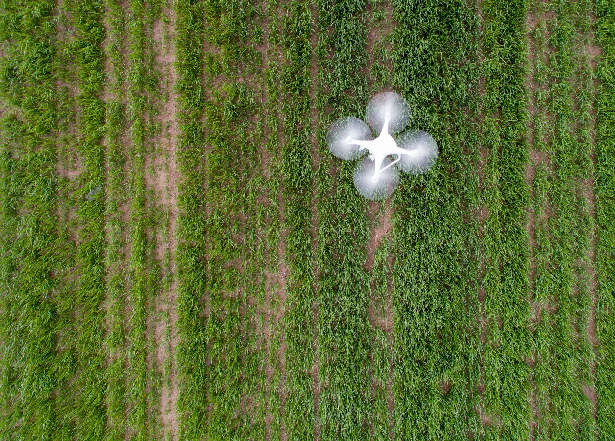 A top-down view of a white drone flying above a green field