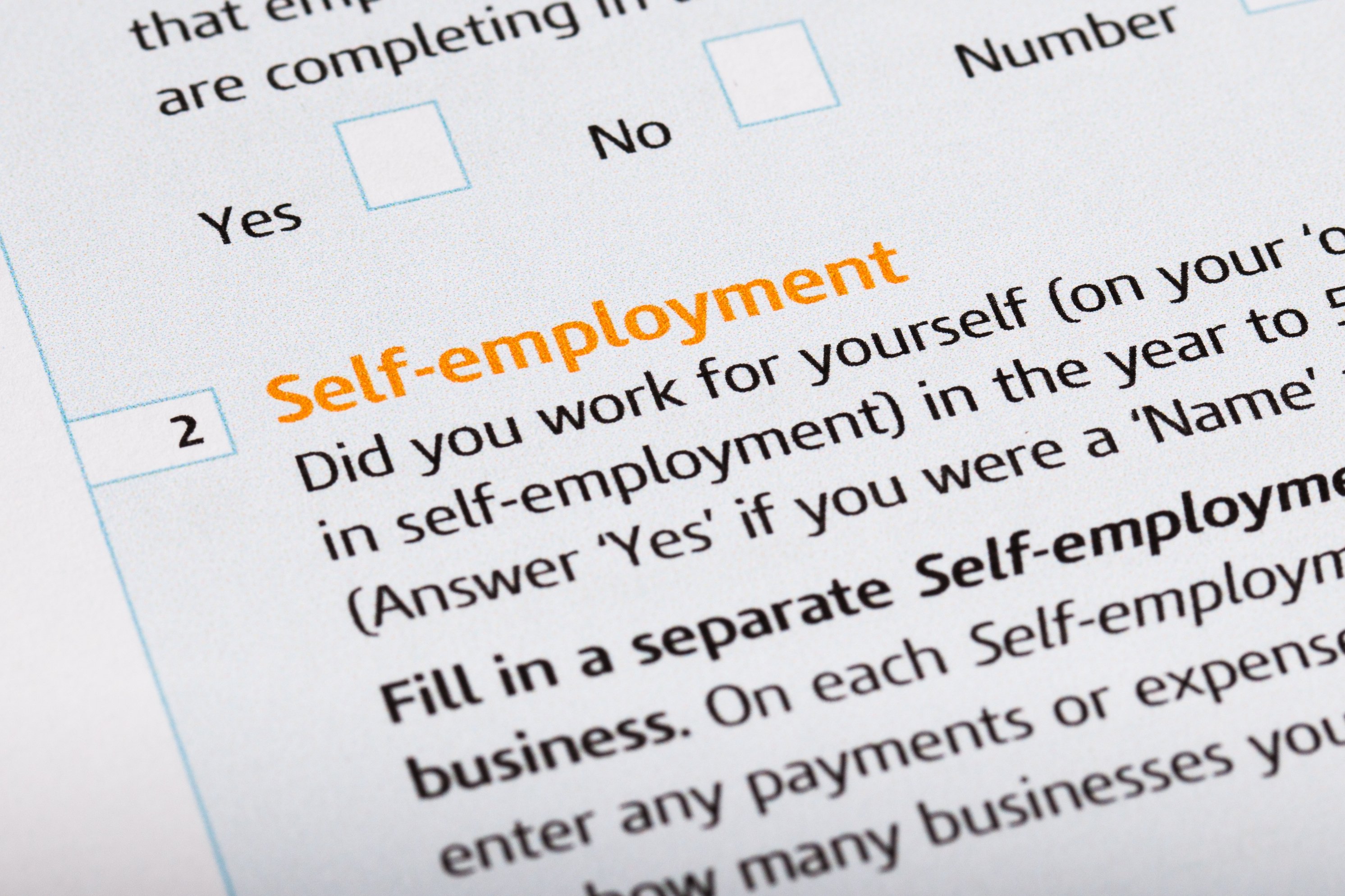 Self-employment section on a printed form.