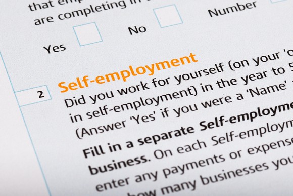 Self-employment section on a printed form.