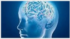 brain-source-alzheimers-association