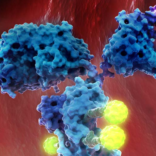 Antibody-drug conjugate