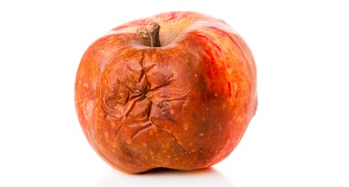 rotting-apple-getty