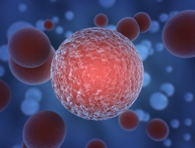 cancer cell