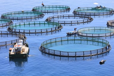 fish farm
