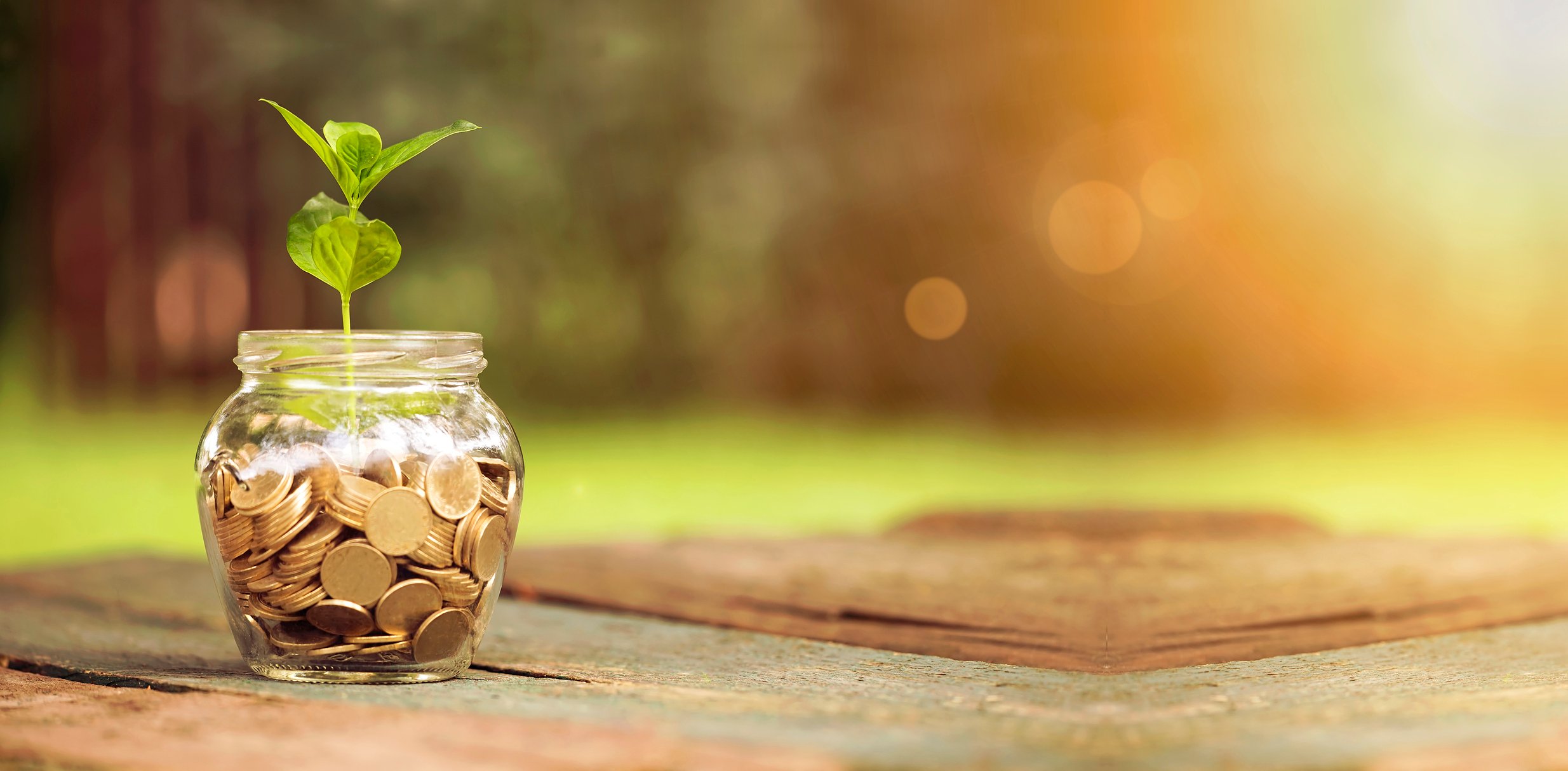 Jar of coins with small sprout growing out of it