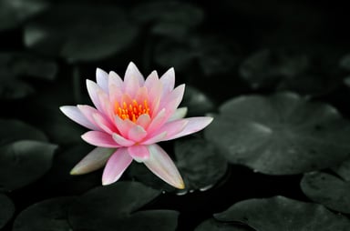 GettyImages-578282216