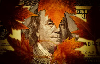 Autumn leaves on money