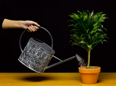077 watering plant getty