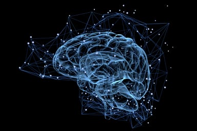 081 brain getty