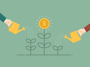 cartoon money plant growing watering