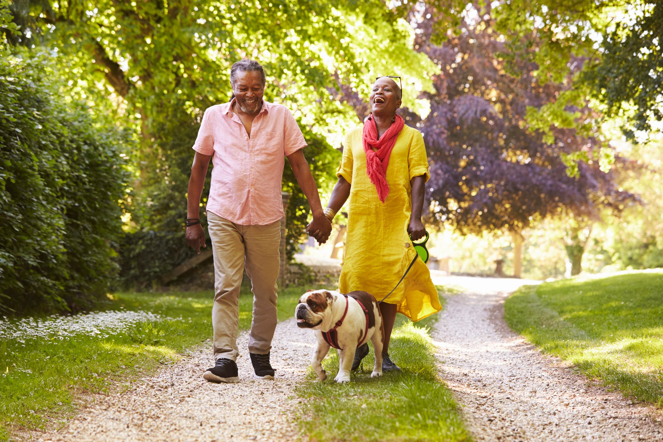 A laughing retired couple walk their bulldog along a forest path.