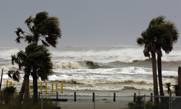 Ocean shoreline with large waves and palm trees being battered by strong wind