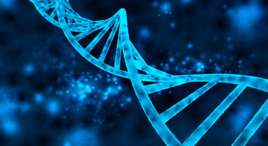 DNA Double Helix