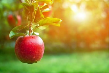 apple