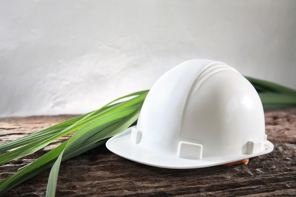 Green plant fronds lie next to a white hard hat