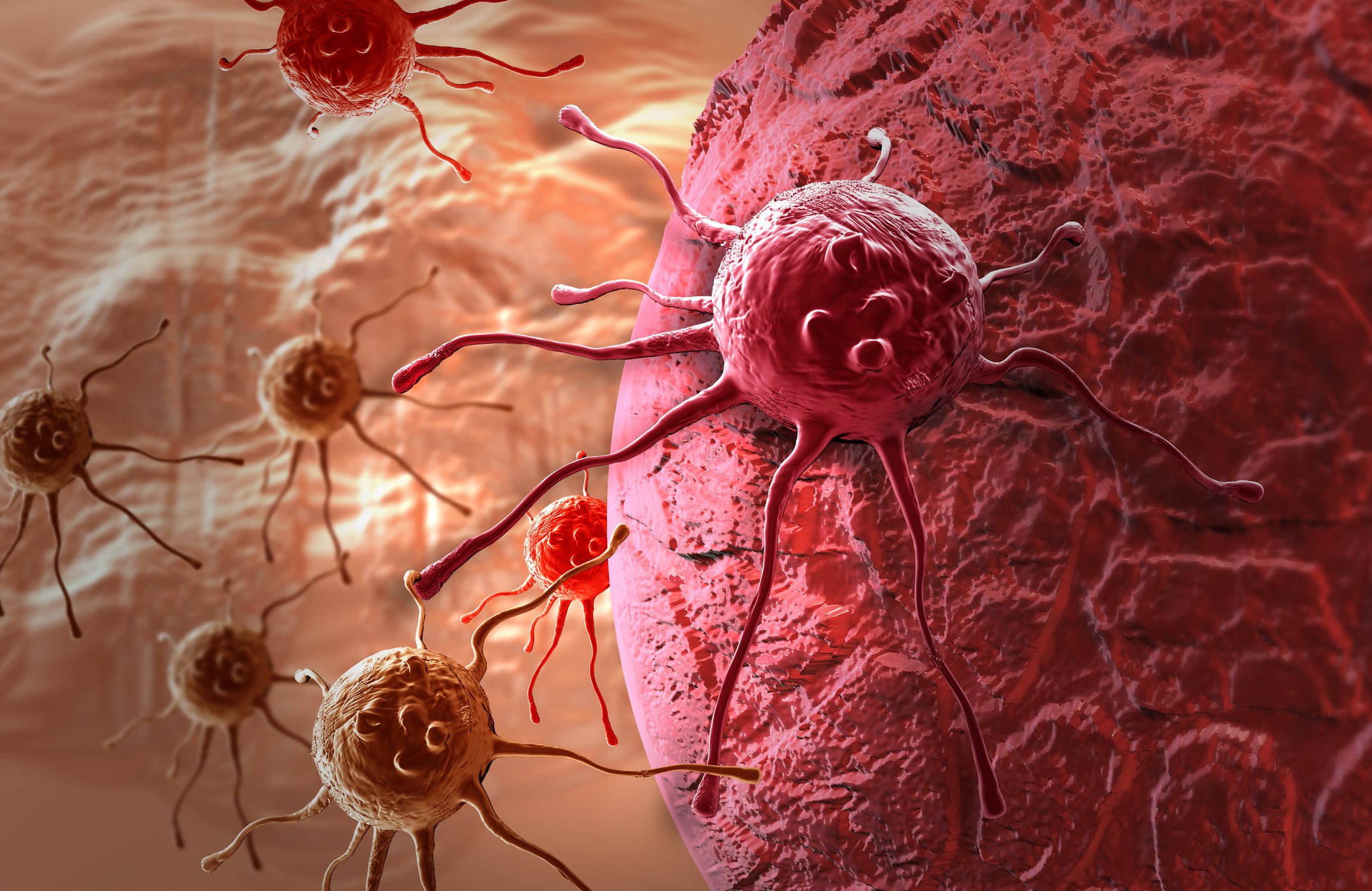 blood cancer cell