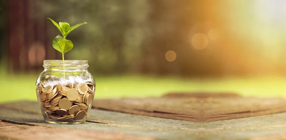 Jar of coins with a small plant sprouting out of it.