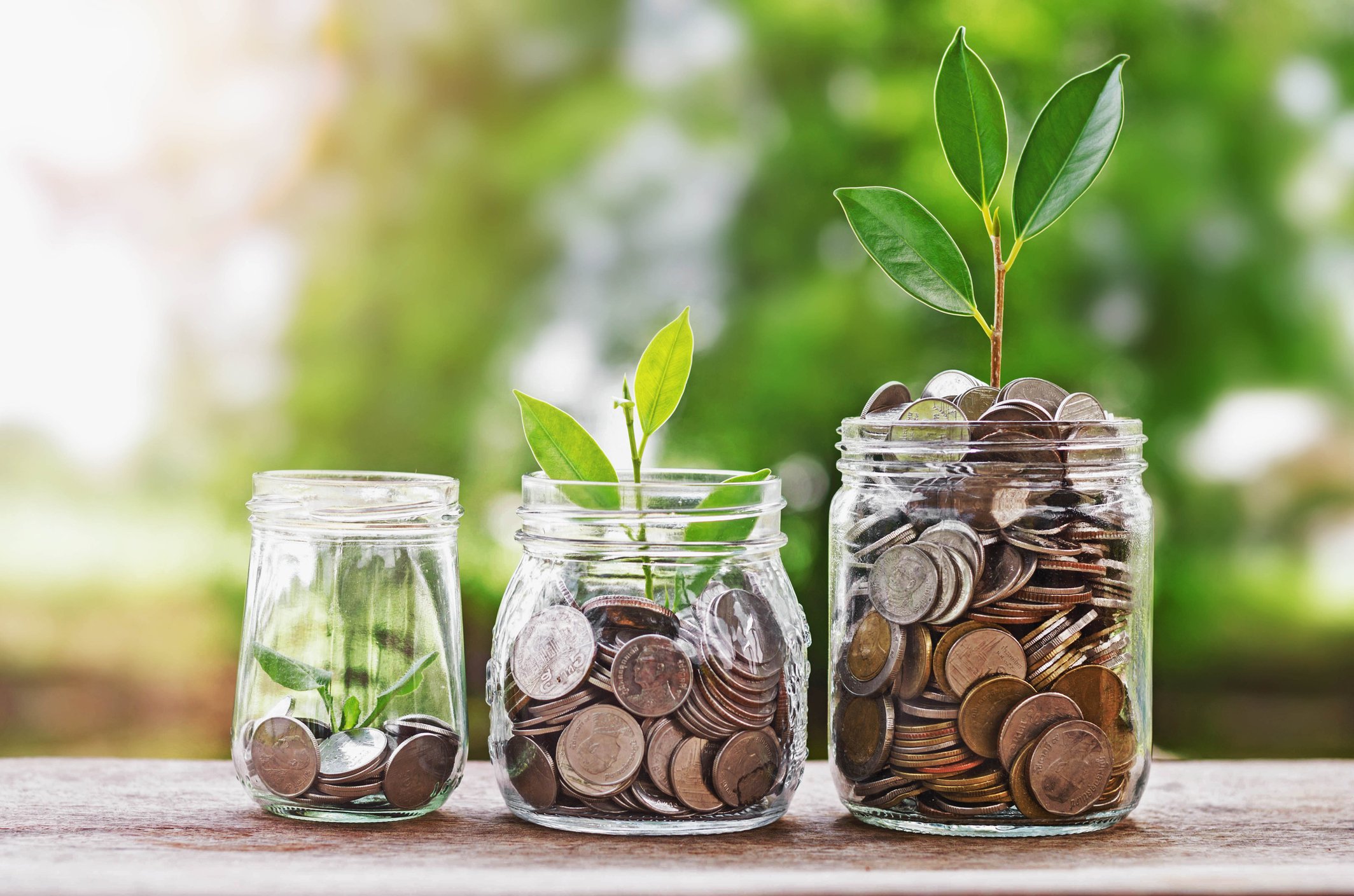Three jars of coins with seedlings growing out of them
